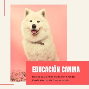 Estimular la Mente de los Animales