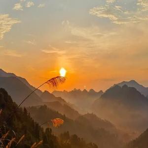 我曾经捡到一束光 (Cover 程可唯)