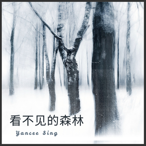 看不见的森林