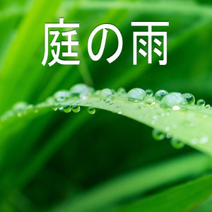 庭の雨、パート17