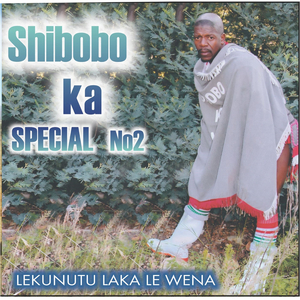 Tsepisa osatla patala