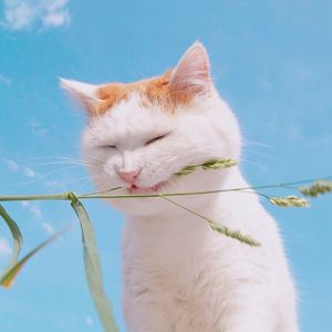 Rainy（翻自 Alan Walker）