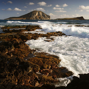 我总是拉屎很大坨