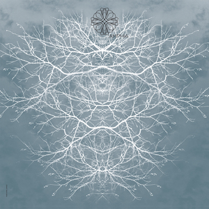 J Strawberry (Cristi Cons Remix)