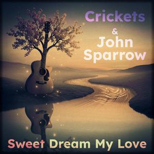 Sweet Dream My Love