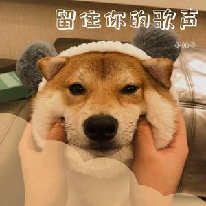 原来你也在这里