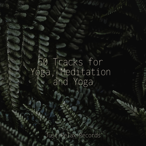 Enchanted Harmonies Unite