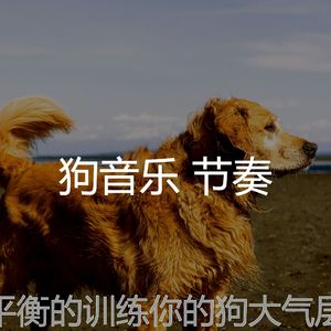 有趣小狗情怀