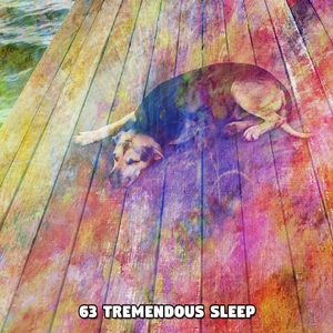 适合睡觉的放松音乐