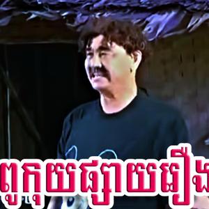 បញ្ចូលសម្លេងផ្សាយរឿង