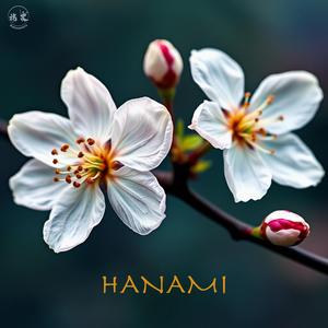 Hanami