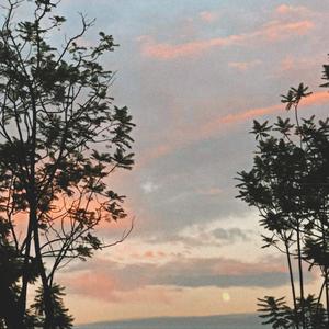 Maybe，enjoy the night together in the afterlife