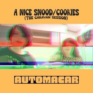 A Nice Snood/COOKIES (The Caravan Session)