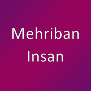 Insan