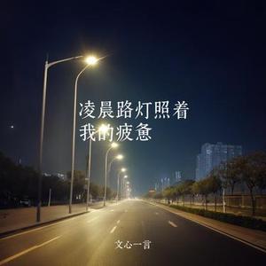 凌晨路灯照着我的疲惫