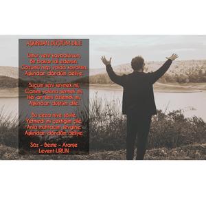 AŞKINDAN DÖNDÜM DELİYE