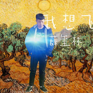 我想飞
