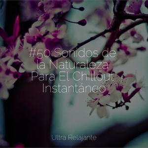 Prosperidad