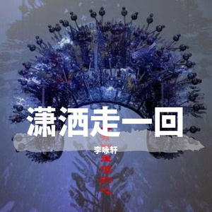 潇洒走一回 伴奏