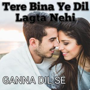 Tere Bina yah Dil lagta nahin