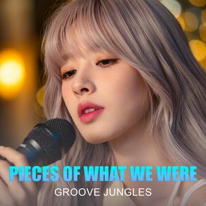 Goodbye Was Not Enough