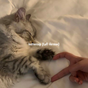 buttercup (Lofi Version)