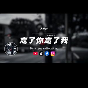 忘了你忘了我/大頭針