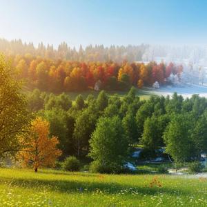 아홉번째 페이지 가을 초입