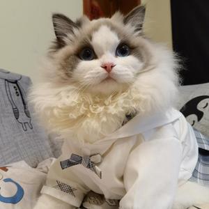 旅途·故乡（翻自 齐栾）