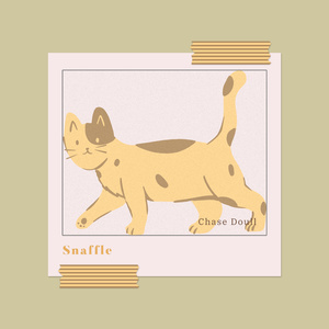 Snaffle