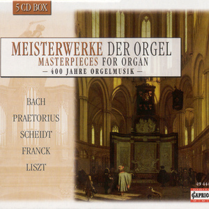 Organ Concerto in D Minor (after BWV 146 and BWV 188): I. Allegro