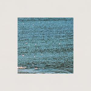 Sea Shimmer