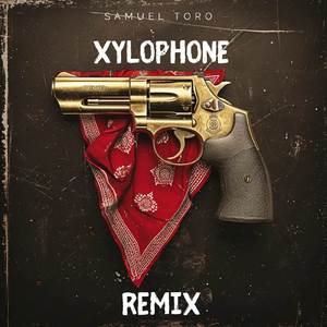 Xylophone (Remix)
