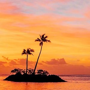 永远幸福的笑脸