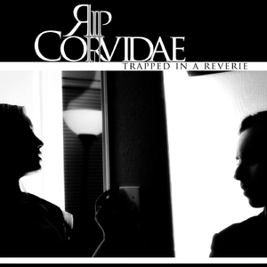 The Resident (Acoustic)