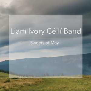 The Shawl of Galway Grey