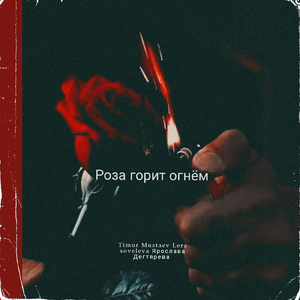 Роза горит огнём