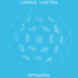 Siphonophora pt. 10 (Album Version)