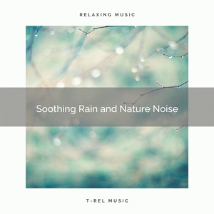 Nice and Meaningful Rain Drops Sounds for You to Rest Now