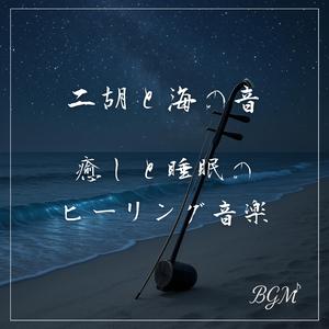 二胡と海鳥の癒しヒーリング