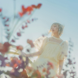 惑星ヒッチハイク