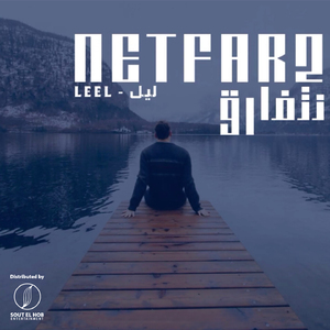 Netfar2