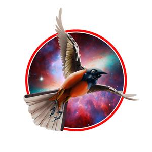 black redstart 2 (feat. Sicker Man, Kiki Bohemia, L'Impero della Luce, Snare Drum Exorcism & Tommaso Mantelli)