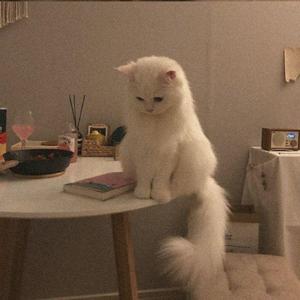 有我呢(原唱 郭一凡)_Care_1