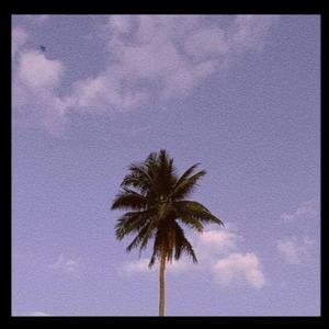 Soft fashion Vlog advert soundtrack