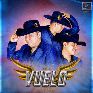 Zapateados (Remix)