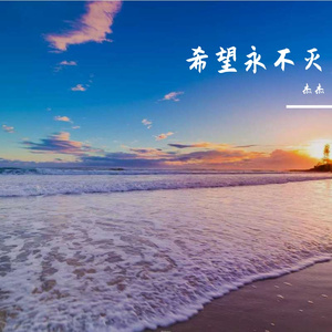逐光筑梦间