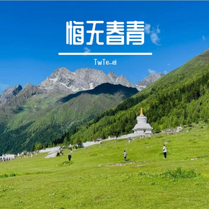 悔无春青