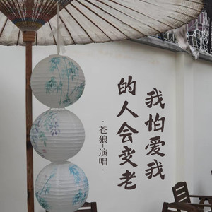 我怕爱我的人会变老