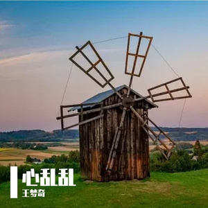 心乱乱 (DJ版)（翻自 崔子格）